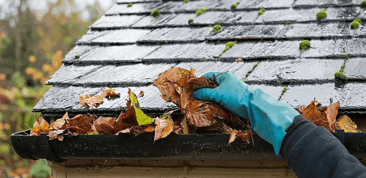 Gutter cleaning technician clearing wet leaves from roof gutters in Albuquerque, NM